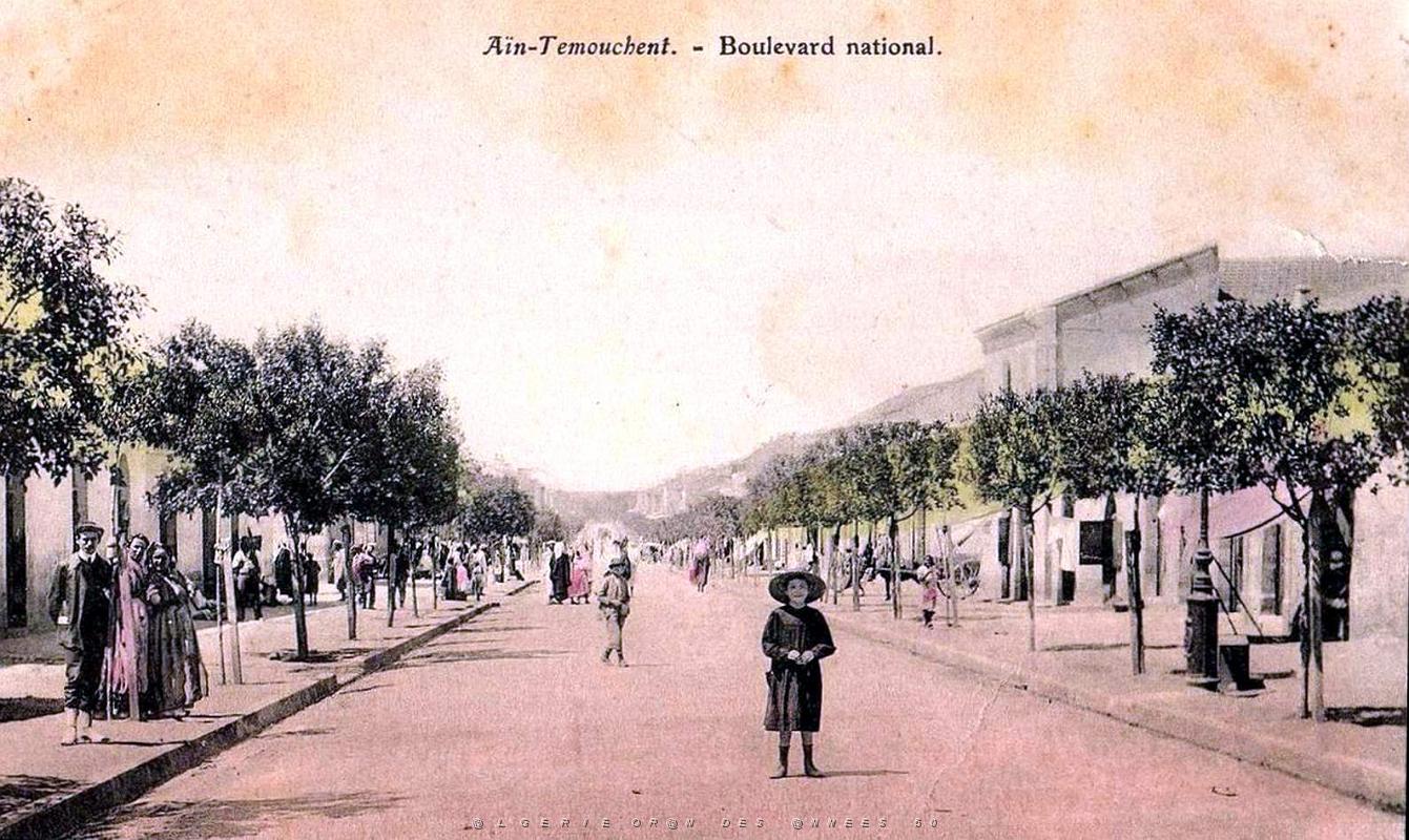 1661- Ain-Temouchent - Boulevard National - Collection Monneret.jpg
